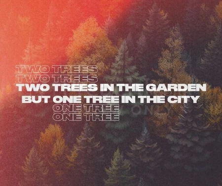 Two Trees In The Garden But One Tree In The City