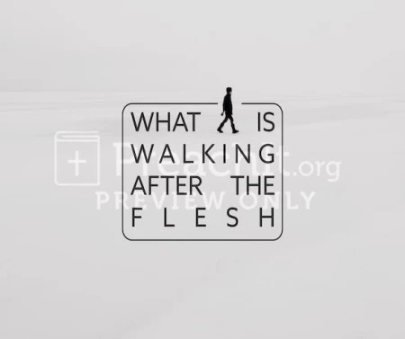 What is Walking After the Flesh