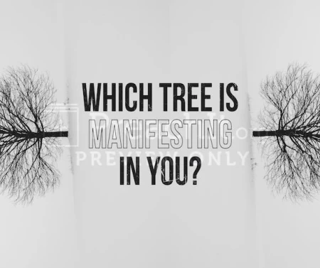 Which Tree Is Manifesting In You?