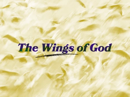 The Wings Of God