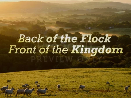Back of the Flock, Front of the Kingdom