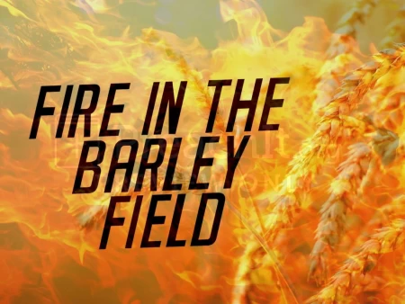 Fire in the Barley Field
