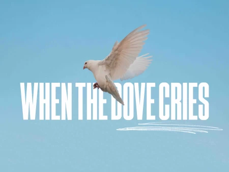 When The Dove Cries