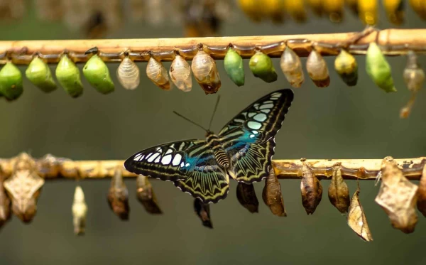 How To Recognize A Change In Your Calling