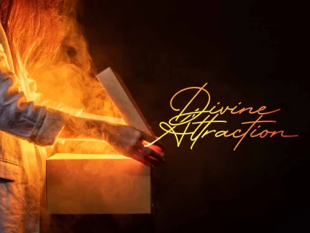 Divine Attraction