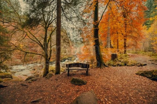 How God Repurposes Your Gifts Through Every Season